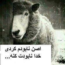 اصن نابودم کردی خدا نابودت کنه لیلی21 شیراز