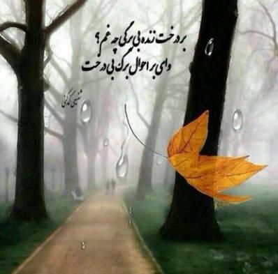 142725 لیلی21 شیراز