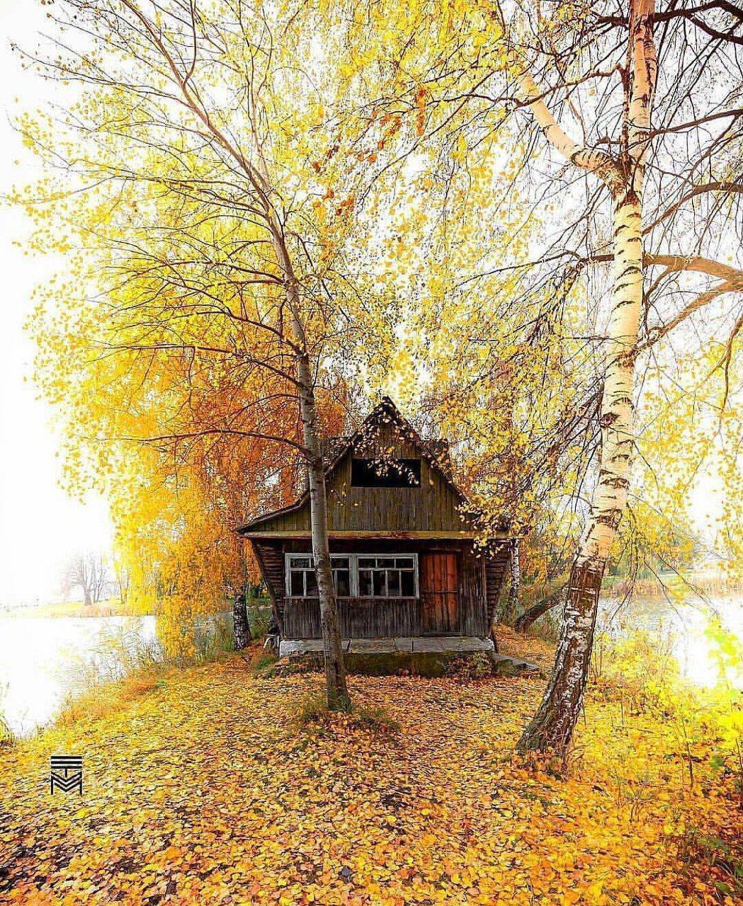 تصویری از کلبه‌ای دنج در قابی زیبا از پاییز کشور‌اوکراین **abdolla**