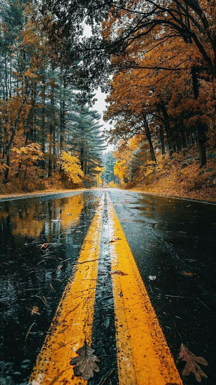 زندگی ،  یک جاده یک طرفه هست که فقط  می توانی پشت سرت را نگاه کنی ،اما نمی توانی برگردی به عقب  پس ، از هر ثانیه زندگی لذت ببر  "عصرتون بخیــــ b.a.h.ar
