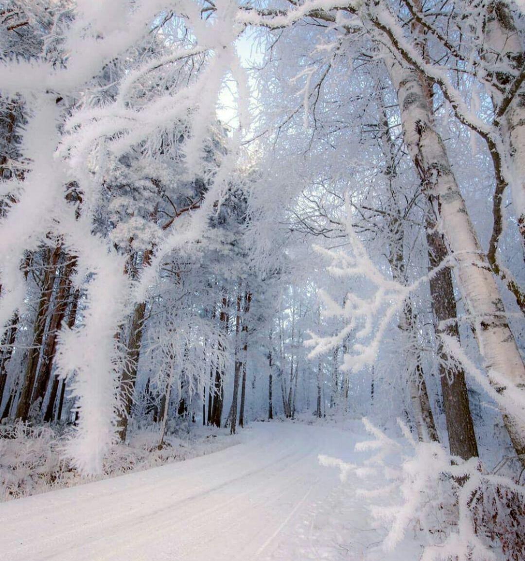 جاده زیبا و برفی در کشور فنلاند **abdolla**