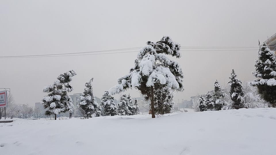 برف در کابل سرخ 2017