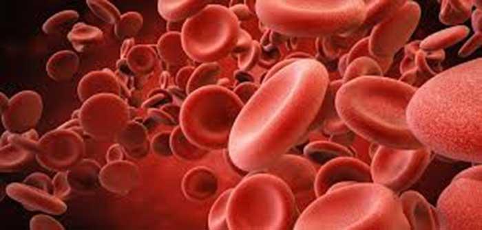 غلظت خون یعنی چه؟ به کزارش سایت الودکتر، پزشکان اصطلاح پلی سیتمی (polycythaemia) و اریتروسیتوز (erythrocytosis) را برای نشان دادن افزایش تعداد گلبول های قر Reza Rezaei