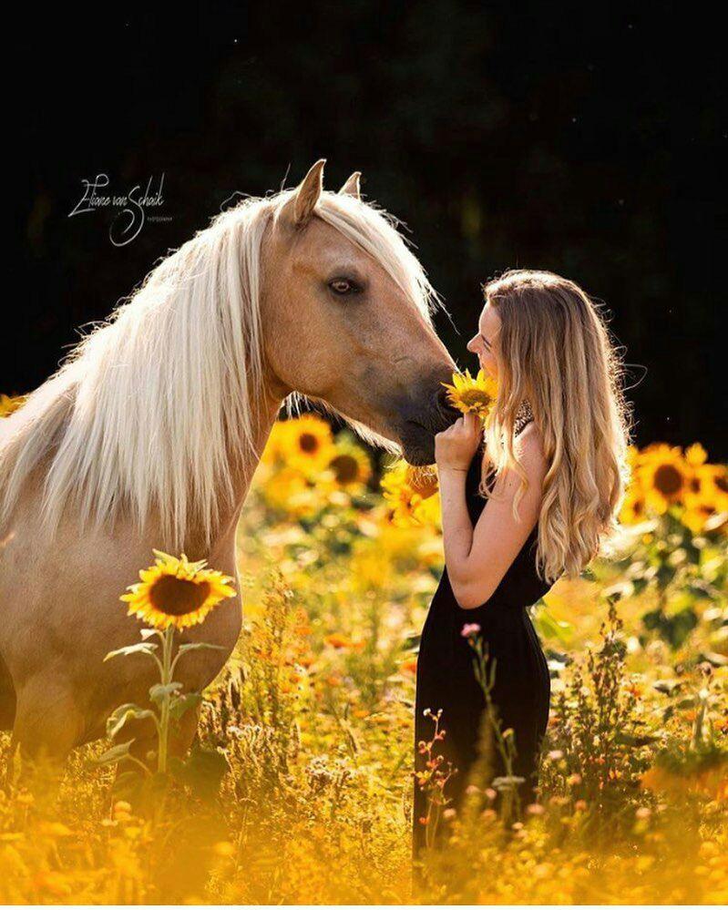 دختر با اسب maryam p r