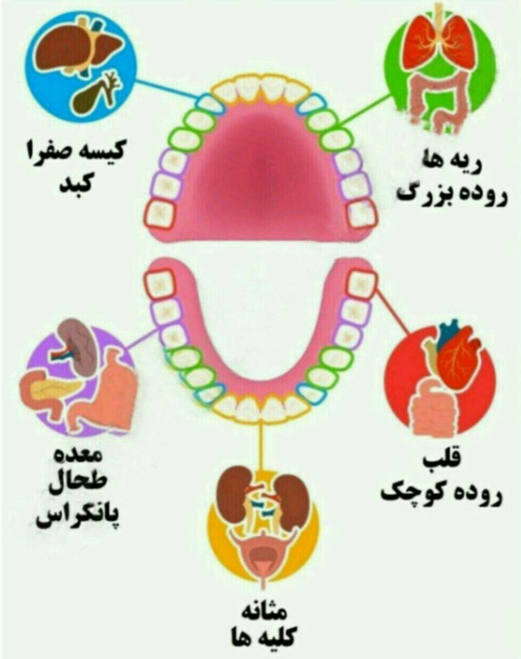 دندان درد.. علایم ساده برای تشخیص بیماریهای بدن الناز33