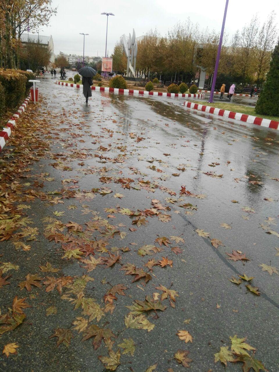 خیابان بارانی آسنات76