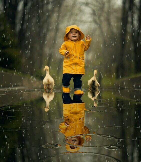 # باران کودک اردک چمن00