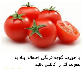 گوجه فرنگی مانع ابتلا به عفونت لثه ها الناز33